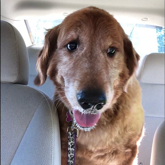 Meet your Posher, Keith - Picture 1 of 1